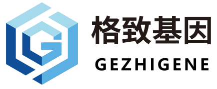 格致基因 Logo